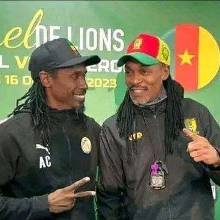 CAMEROUN-SENEGAL : LES LIONS SERONT-ILS INDOMPTABLES OU LES LAPINS COUREURS