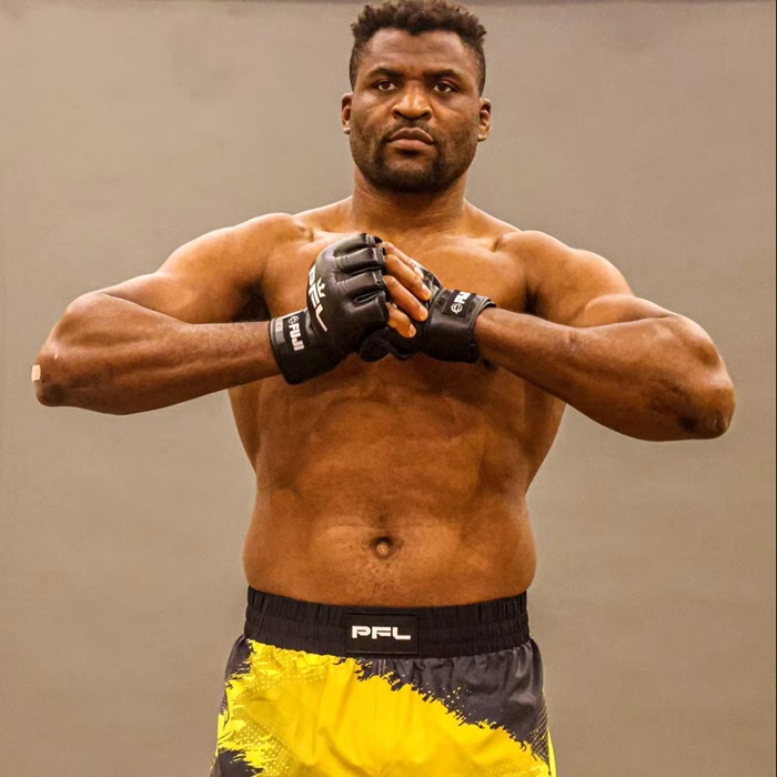 FRANCIS NGANNOU : LE PRIX DE LA CELEBRITE ET LES LECONS D’UN DRAME