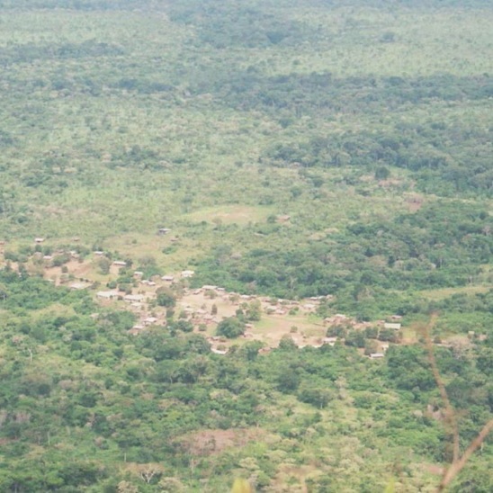 CAMEROUN :: YASSEM, BRADAGE DE TERRES : UN TERRAIN DE 30 HECTARES BRADÉ À 2,5 MILLIONS DE F CFA :: CAMEROON YASSEM, BRADAGE DE TERRES : UN TERRAIN DE 30 HECTARES BRADÉ À 2,5 MILLIONS DE F CFA
