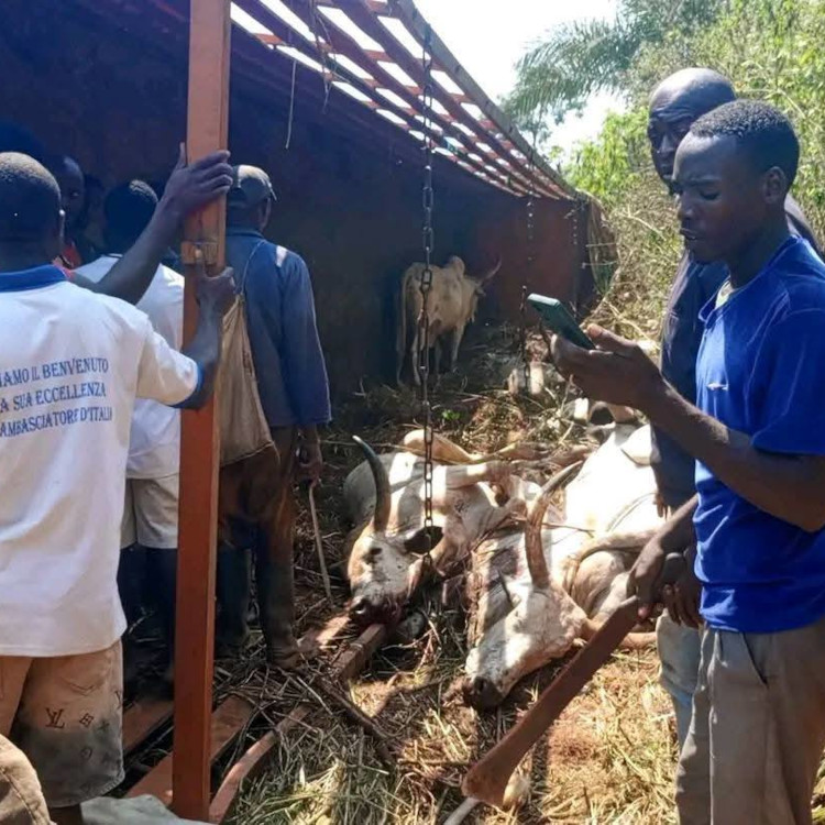 Accident Dimako-Toungrélo : circulation paralysée sur la route nationale 10