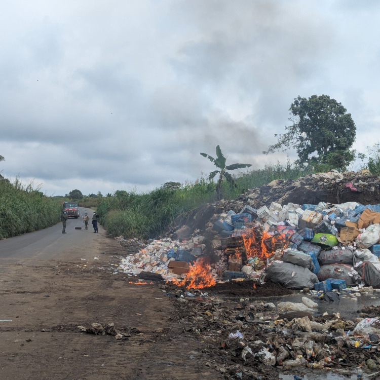 22 tonnes de drogues saisies incinérées à Buea : un coup de filet historique au Cameroun
