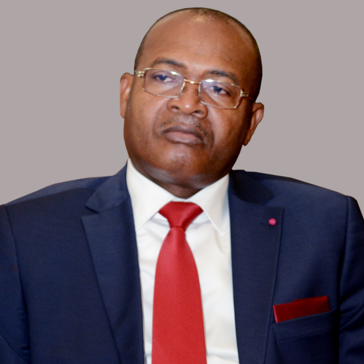CAMEROUN :: La commission nationale de recensement des votes désignée pour la présidentielle :: CAMEROON La commission nationale de recensement des votes désignée pour la présidentielle