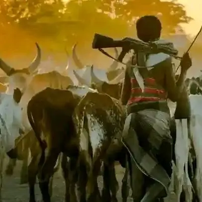 Mbat Village rasé : 200 maisons brûlées au cœur du Cameroun anglophone