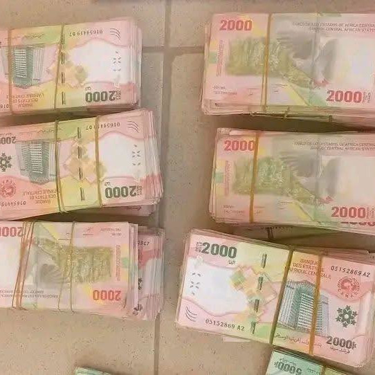Maroua : 32 millions en faux billets saisis par la gendarmerie, un réseau transfrontalier démantelé