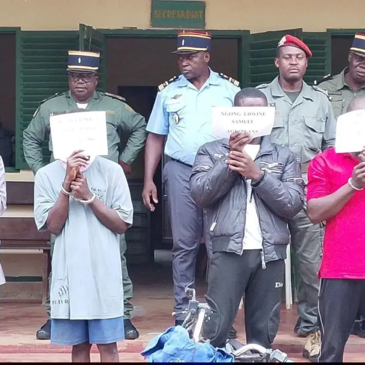 Quatre meurtres, un gang démantelé : l'opération qui a terrassé Mère Poule à Kribi