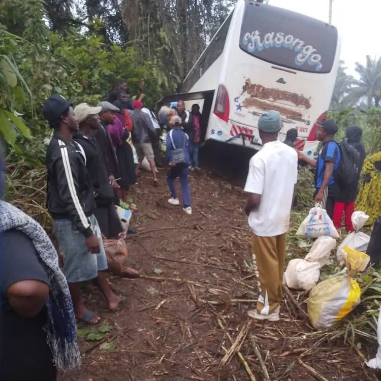 Accident de bus à Nkongsamba : 70 passagers sauvés par un palmier après une crevaison
