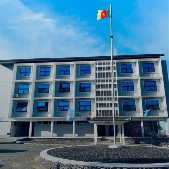 NASLA au Cameroun : le cri de détresse des premiers diplômés face au chômage