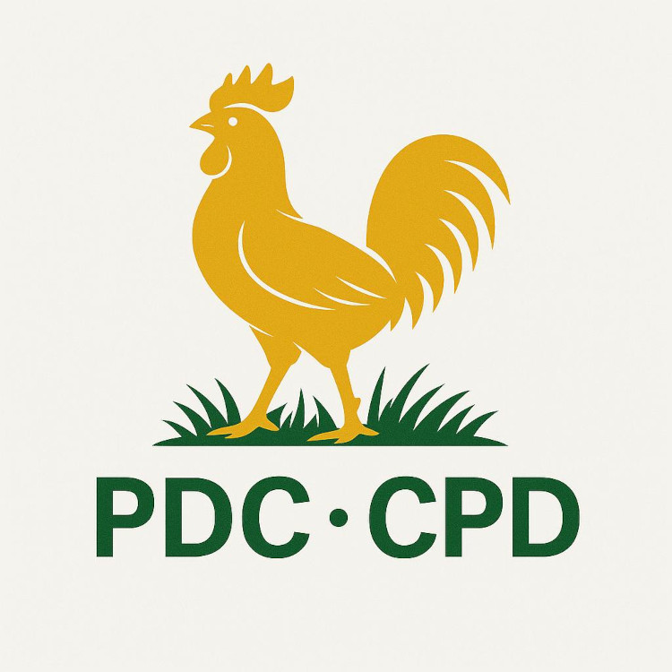Louis-Tobie Mbida et le PDC réagissent à la présidentielle camerounaise de 2025 :: CAMEROON Louis-Tobie Mbida et le PDC réagissent à la présidentielle camerounaise de 2025