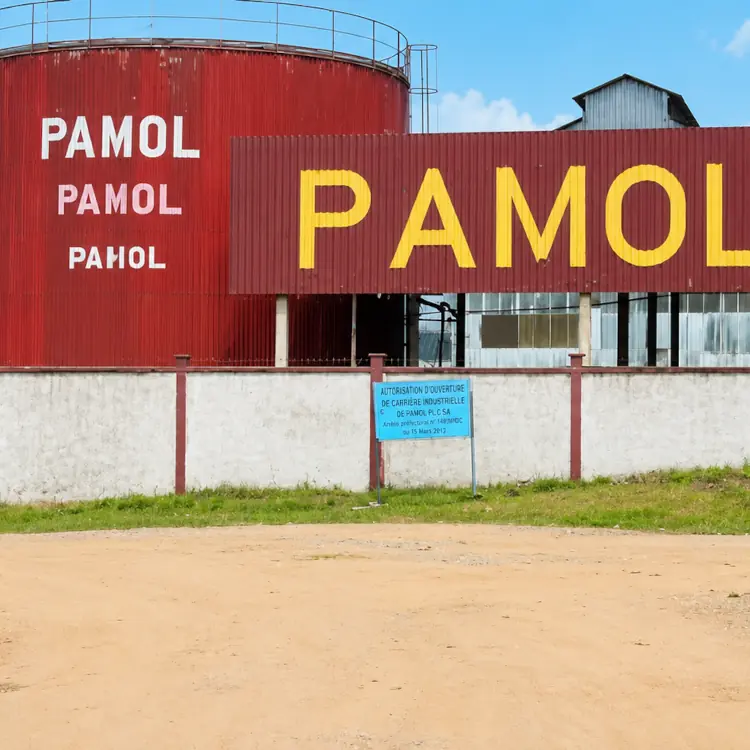 PAMOL Lobe Estate : des centaines d'ouvriers sans salaire depuis des mois