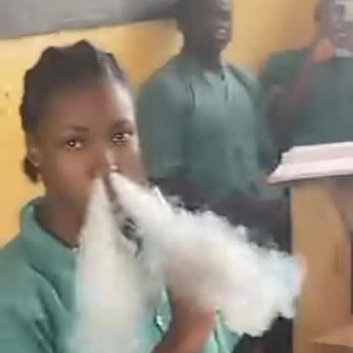 La Dragonne radiée : quand TikTok coûte le baccalauréat