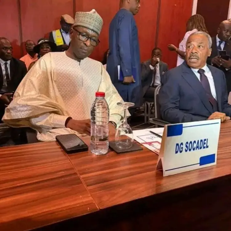 SOCADEL : le Cameroun installe enfin l'équipe qui doit sauver son électricité