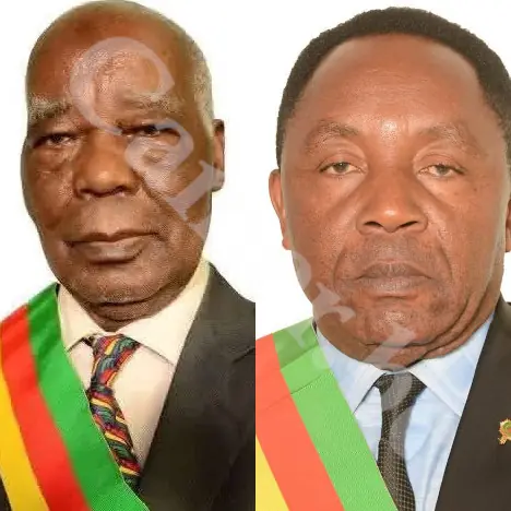 RDPC fracturé : révision constitutionnelle, deux barons brisent la discipline du parti au pouvoir