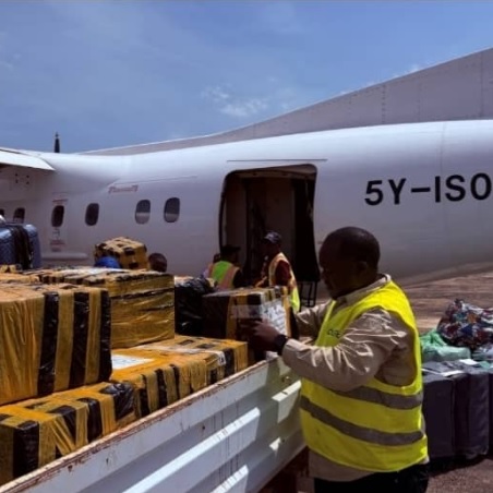 Les alliés de la RCA soutiennent l'organisation des élections en République centrafricaine en 2025