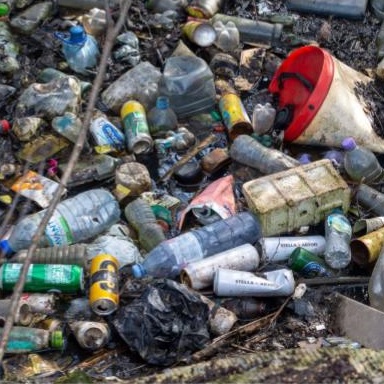 AFRIQUE :: WWF exhorte les ministres africains de l'environnement à réaffirmer leur engagement sur la pollution WWF exhorte les ministres africains de l'environnement à réaffirmer leur engagement sur la pollution