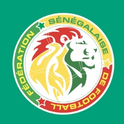 Préoccupations relatives à l’organisation de la finale de la Coupe d’Afrique des Nations