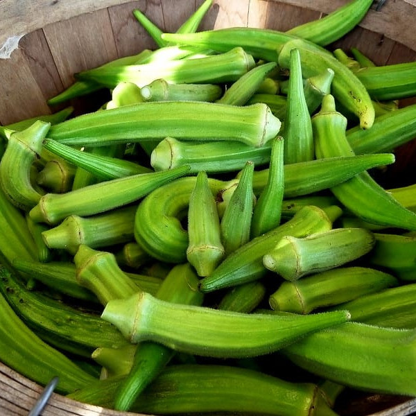 Hypertension : le mélange gombo et ail est-il un remède miracle ? La vérité scientifique