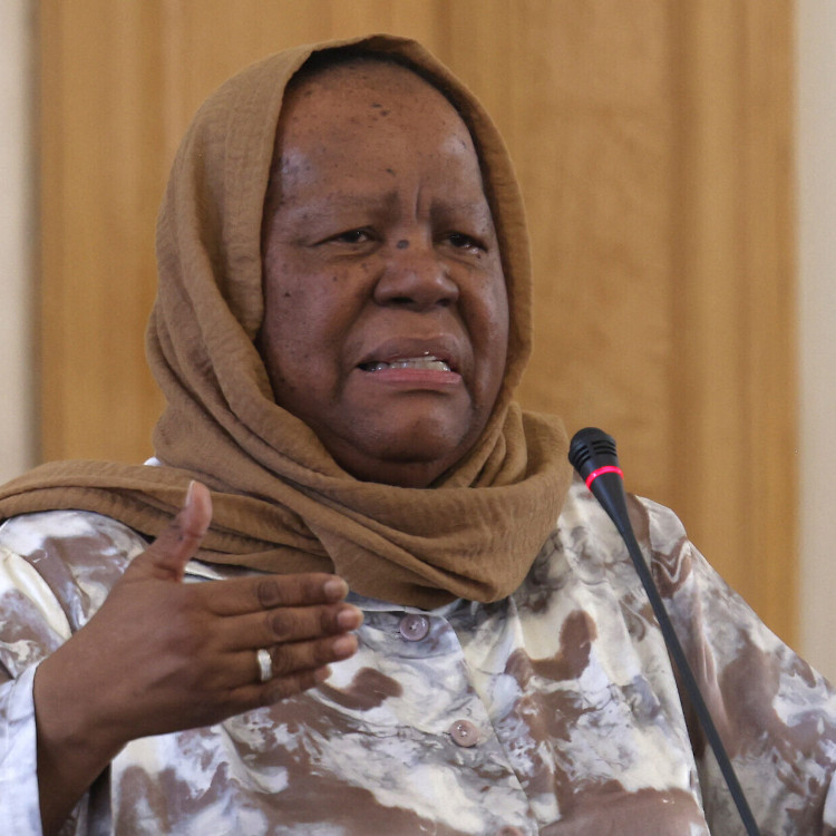 AFRIQUE DU SUD :: Ministre Sud-Africaine : Avertissement aux Combattants pour Tsahal et Solidarité avec la Palestine :: SOUTH AFRICA Ministre Sud-Africaine : Avertissement aux Combattants pour Tsahal et Solidarité avec la Palestine