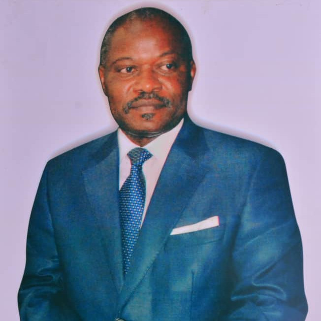 CAMEROUN :: RDPC et Élection 2025 : L'Analyse de Michel Ange Angouing sur Sadi et Fame Ndongo :: CAMEROON RDPC et Élection 2025 : L'Analyse de Michel Ange Angouing sur Sadi et Fame Ndongo