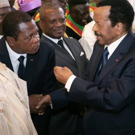 CAMEROUN :: Présidentielle 2025 : Le RDPC confisque Paul Biya. Atanga Nji sort le rouleau compresseur. :: CAMEROON Présidentielle 2025 : Le RDPC confisque Paul Biya. Atanga Nji sort le rouleau compresseur.