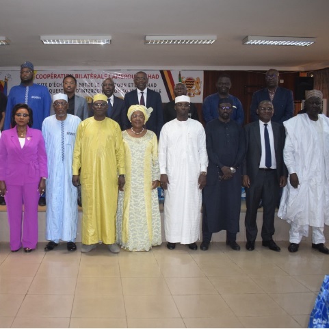Cameroun-Tchad : la coopération numérique passe à haut débit :: CAMEROON Cameroun-Tchad : la coopération numérique passe à haut débit