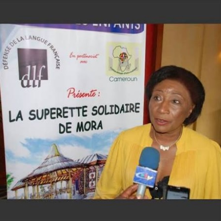 Humanitaire : L'ONG Défense de la langue française équipe des centres de santé en zone rurale