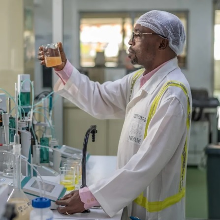 Des distinctions de Nestlé Cameroun pour son engagement dans la Protection de l’environnement