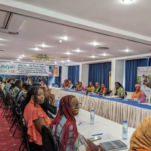 Douala:L’OAPI et l’UNFPA misent sur l’innovation pour booster l’autonomisation économique des femmes