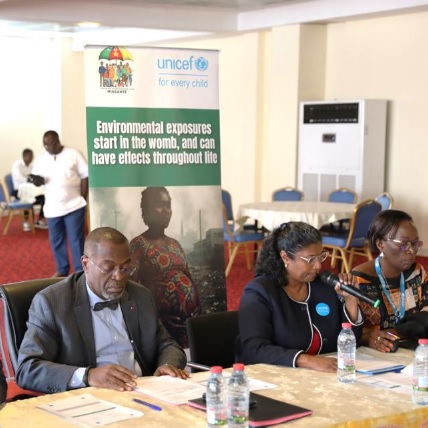 Yaoundé: L'UNICEF et le Minsante cogitent sur la santé environnementale des enfants