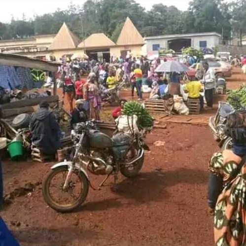 LETTRE D’INFORMATION Pour l’urgente attention de la communauté Bangou