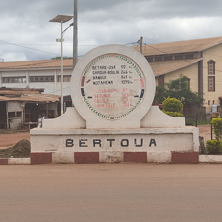 Nouveau Féminicide au Cameroun : Audrey Nguele Victime de Violence Conjugale