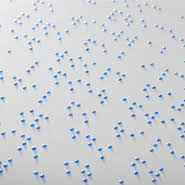 Journée mondiale du braille : Les attentes de la Cdhc