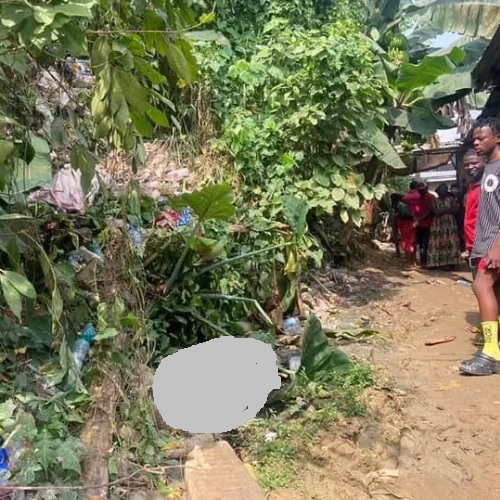 Douala : Le corps sans vie d'une femme retrouvé dans un ravin