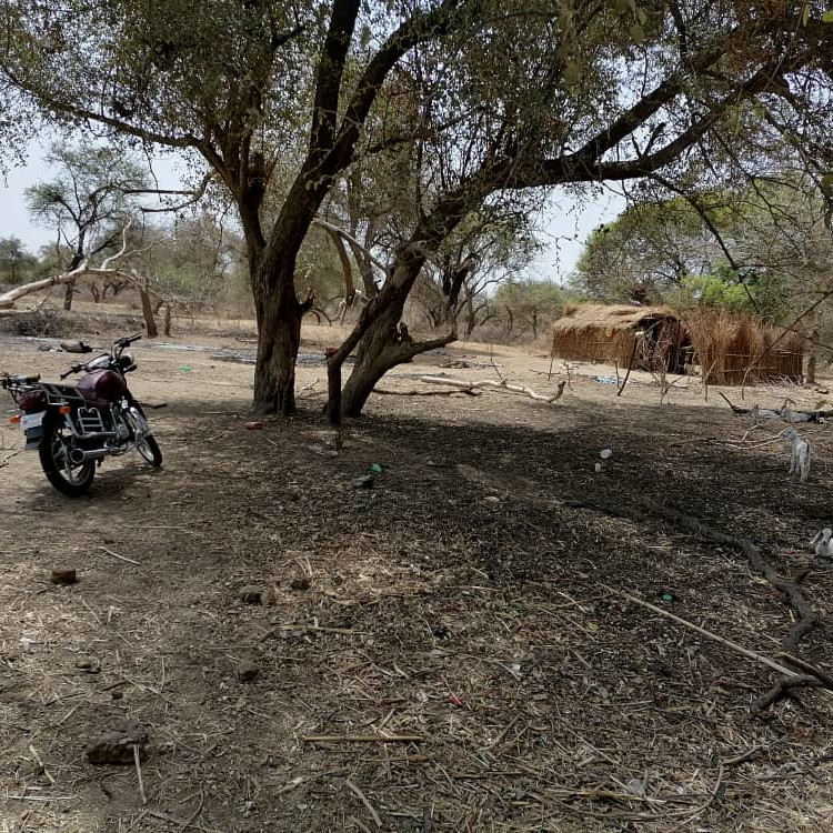 CAMEROUN :: Drame à Doukroye : 5 morts dont un gendarme dans des affrontements avec la population :: CAMEROON Drame à Doukroye : 5 morts dont un gendarme dans des affrontements avec la population