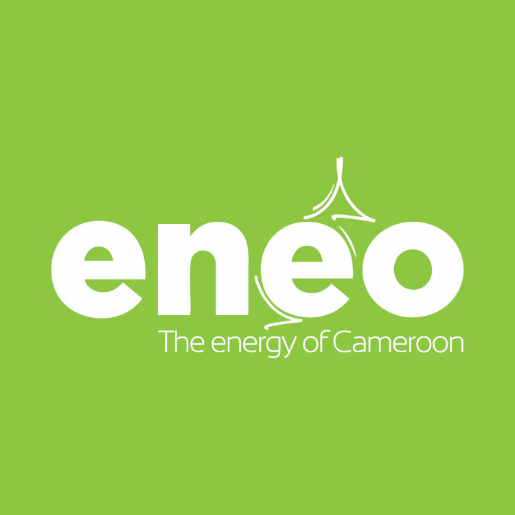 Le Cameroun entame les pourparlers pour la reprise totale d'ENEO