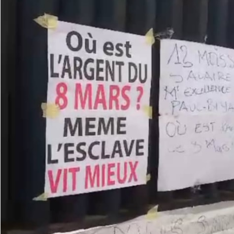 Douala : Les employés de Cicam en grève