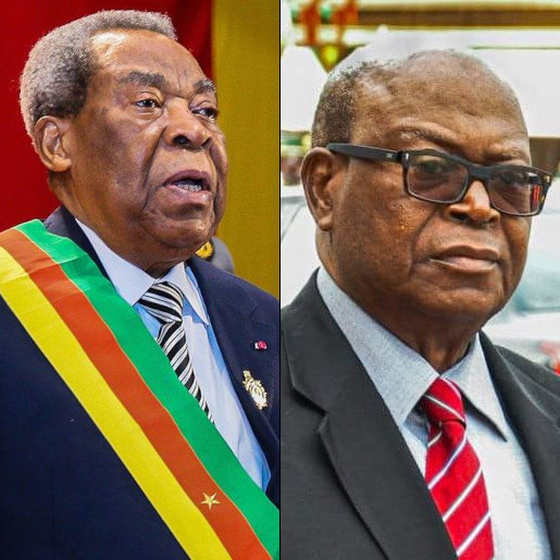 Manuel de Passation des Marchés au Sénat Camerounais : Enjeux et Conséquences des Détournements de F :: CAMEROON Manuel de Passation des Marchés au Sénat Camerounais : Enjeux et Conséquences des Détournements de F