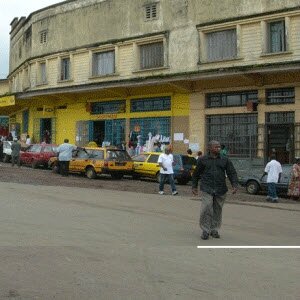 Le café de la ville de Nkongsamba de plus en plus amère