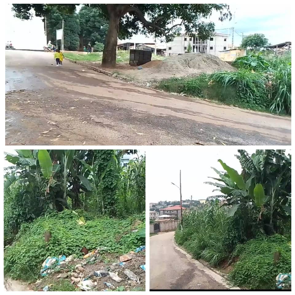 CAMEROUN :: À vendre: Terrain commercial bien placé à Fougerolle :: CAMEROON À vendre: Terrain commercial bien placé à Fougerolle