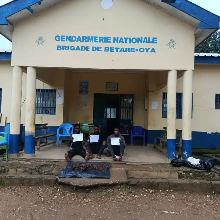 Bétaré-Oya : 76 ossements découverts, trois suspects interpellés