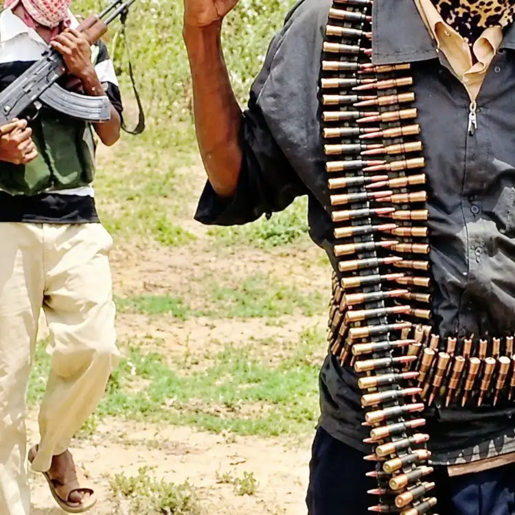 Boko Haram enlève deux filles du sultan d'Afadé dans son propre palais