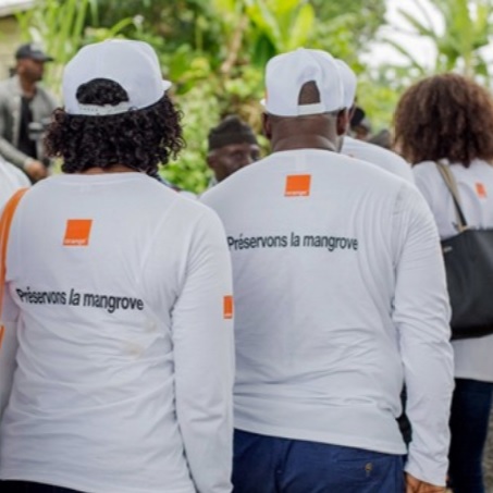 Le projet CAMERR et Orange œuvrent à la restauration et  préservation de la mangrove