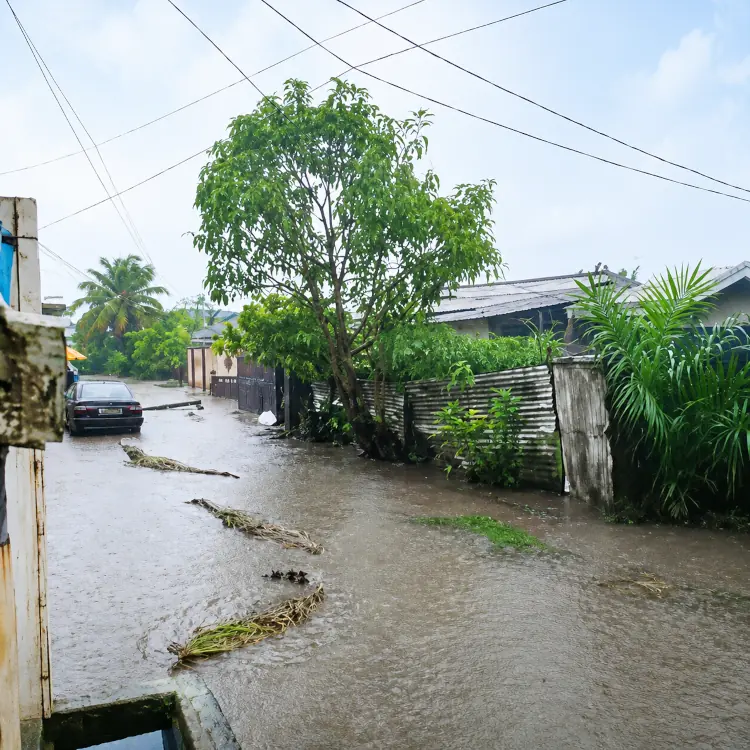 Crocodiles dans les inondations de Bonaberi : trois reptiles repérés à Mabanda, panique générale