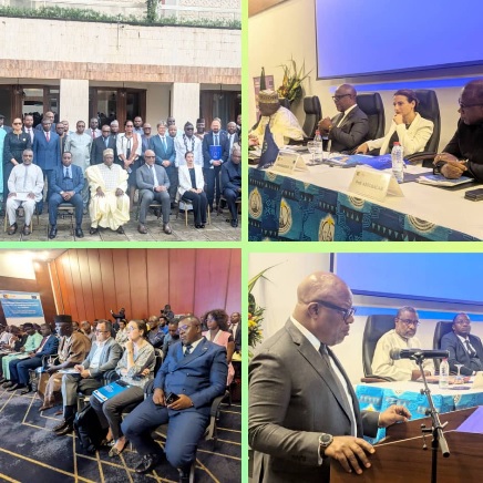Filière banane : le Cameroun et l’Union européenne dressent le bilan du Programme MAB