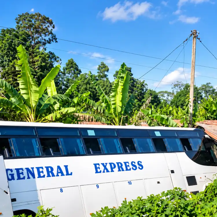 Bandjoun : un bus Général Express fonce dans une maison