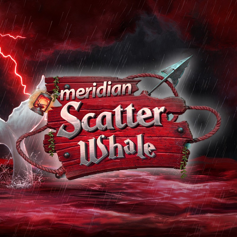 Meridian Scatter Whale : cap sur l'excellence et les gains.