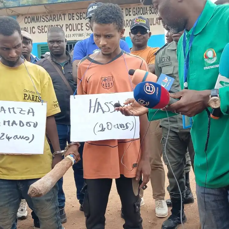 Six arrestations après 25 meurtres à Garoua-Boulaï