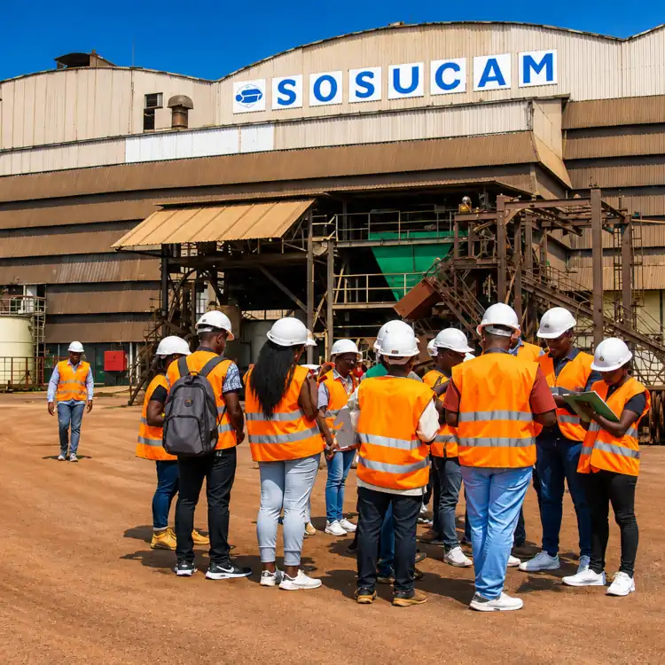 Sosucam rachetée par des Camerounais : un tournant historique
