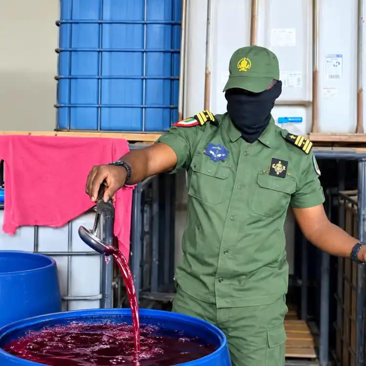 Vin clandestin : la gendarmerie démantèle une usine à Bahouoc
