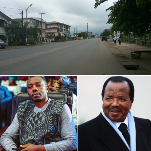 Chantier de modernisation d'une route au Cameroun