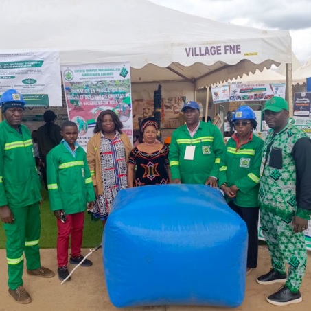 Chantier de modernisation d'une route au Cameroun
